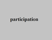 PARTICIPATION (N)