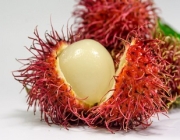 rambutan