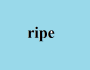 RIPE (ADJ.)