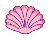 shell