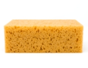 SPONGE