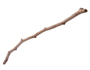 STICK