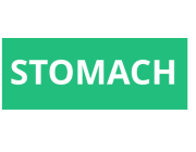 STOMACH