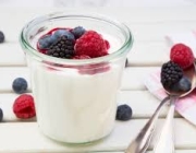 YOGURT 