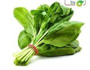 SPINACH 