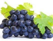 GRAPE 