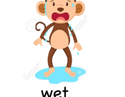 WET