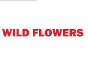 WILD FLOWERS