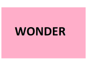 WONDER