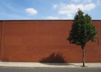 WALL